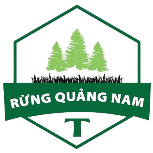 Rừng Quảng Nam