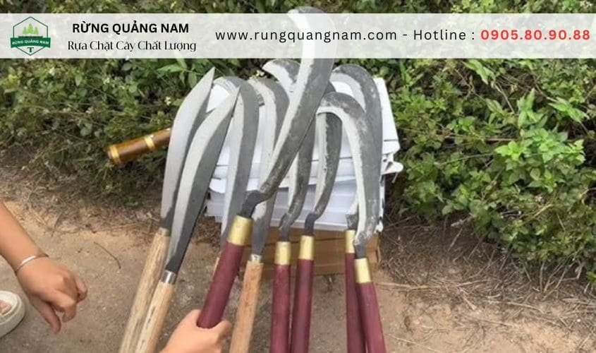 Bảo quản rựa chặt cây