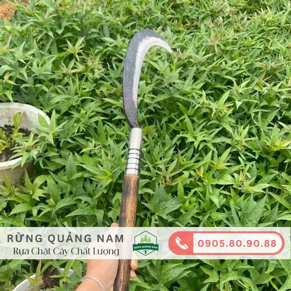 Dao đi rừng