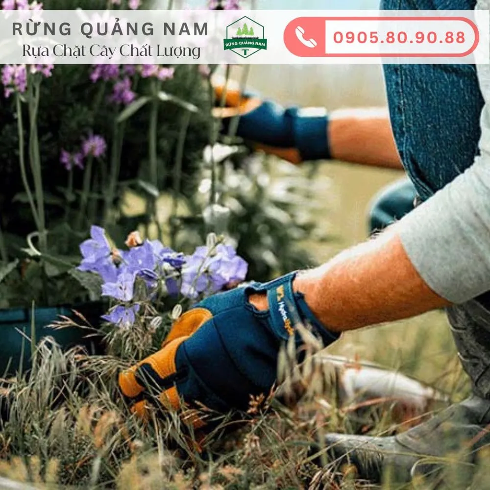 Găng tay làm vườn 1 Găng tay làm vườn 1