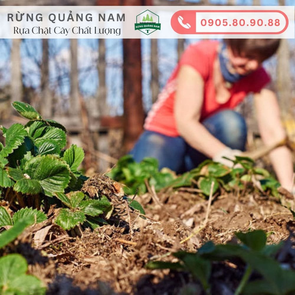 Rựa chặt cây cho làm vườn 3