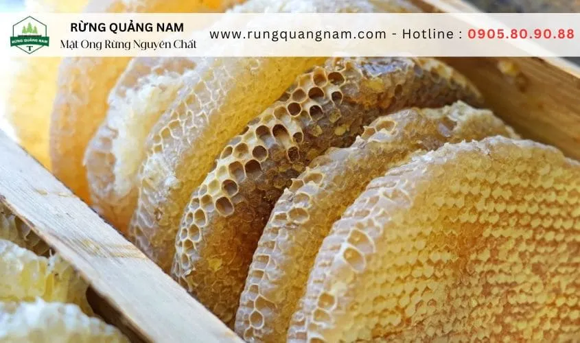 cách bảo quản mật ong rừng cách bảo quản mật ong rừng