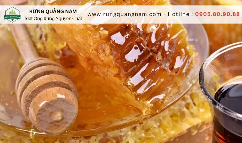 công dụng của mật ong rừng công dụng của mật ong rừng