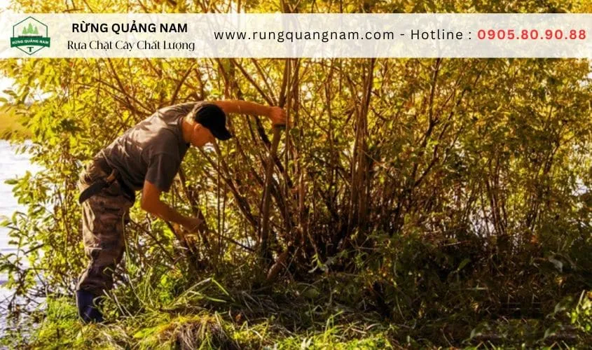 dao đi rừng tốt nhất