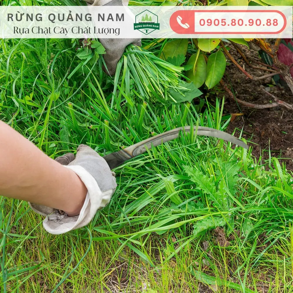 liềm cắt cỏ 2