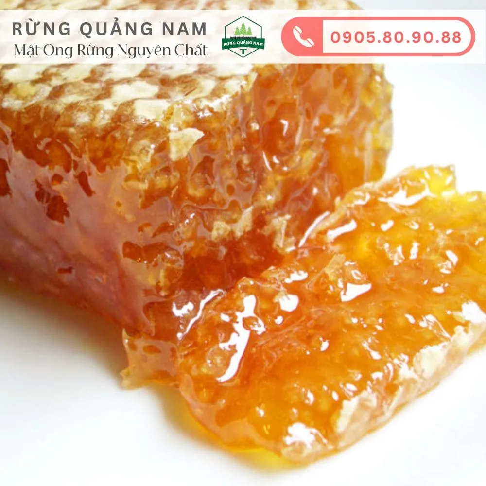 mật ong rừng nguyên chất 2 mật ong rừng nguyên chất 2