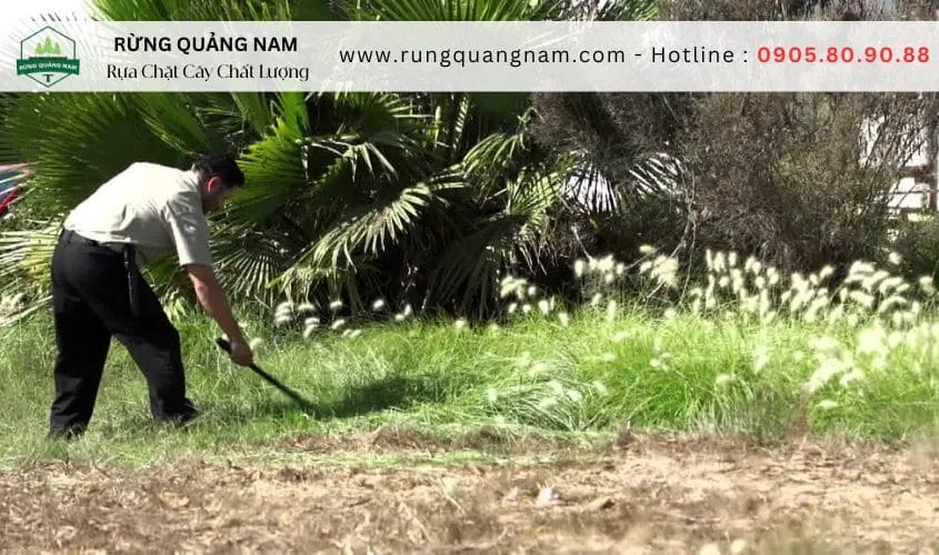 những tai nạn thường gặp khi dùng rựa 3 những tai nạn thường gặp khi dùng rựa 3