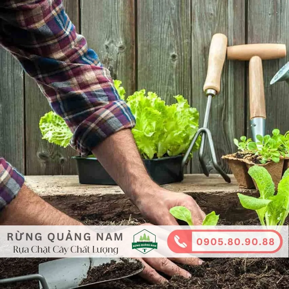rựa chặt cây làm vườn rựa chặt cây làm vườn