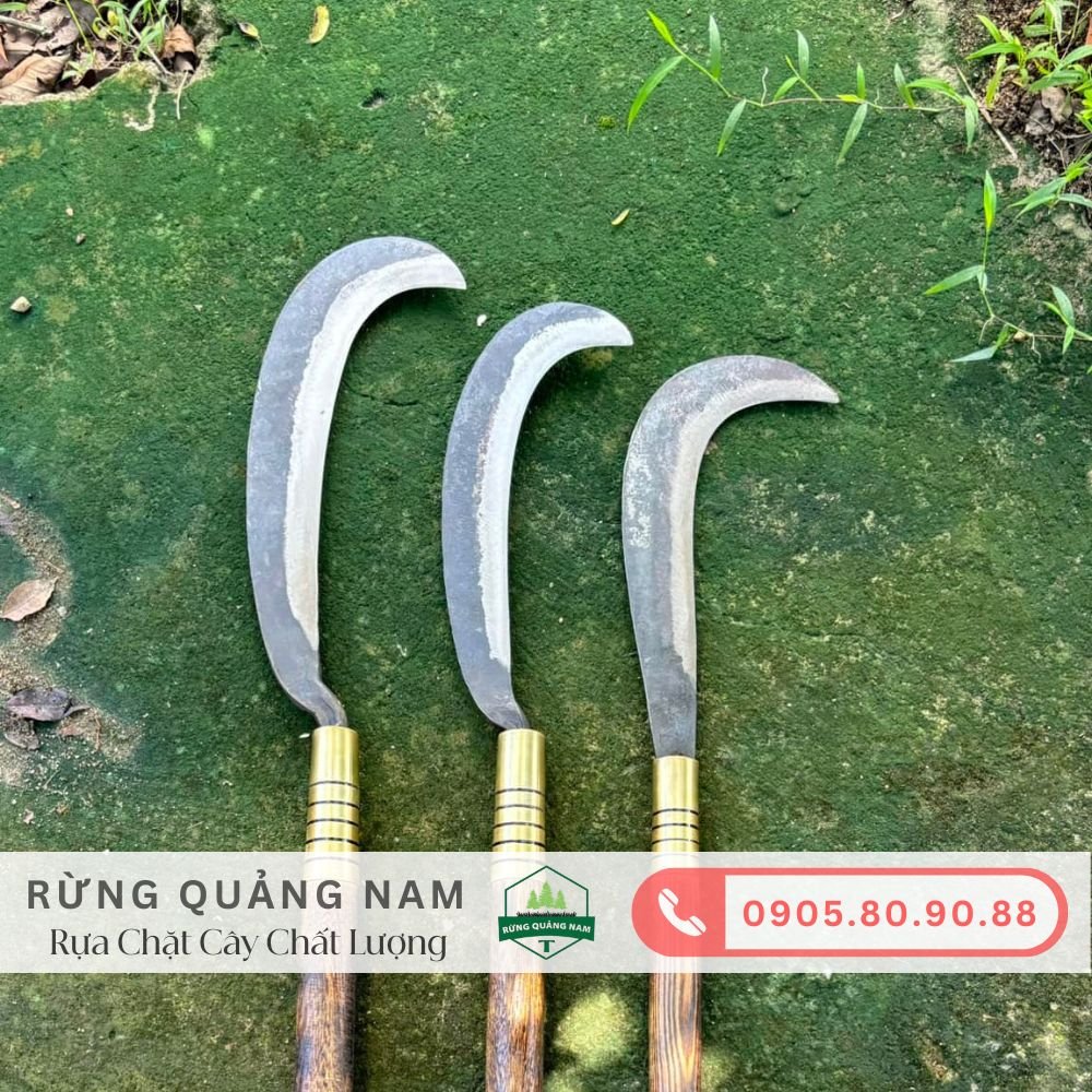 rua-chat-cay-truyen-thong-va-hien-dai